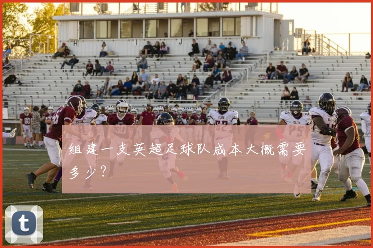 组建一支英超足球队成本大概需要多少？