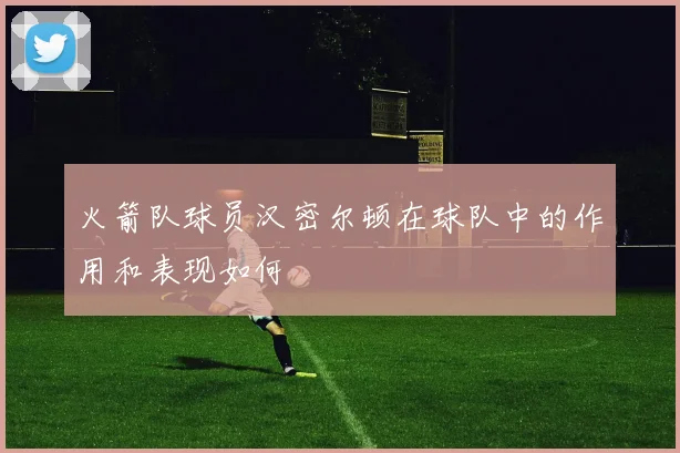 火箭队球员汉密尔顿在球队中的作用和表现如何