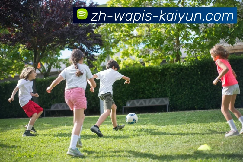 火箭队直播插件安装教程及观看指南