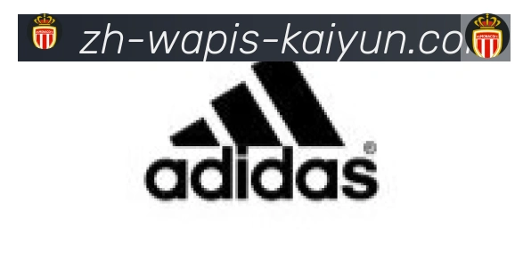 开云APP合作伙伴