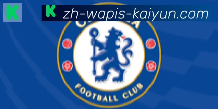 开云APP合作伙伴